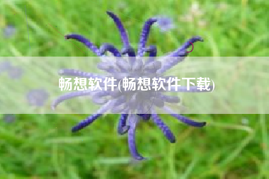 畅想软件(畅想软件下载)