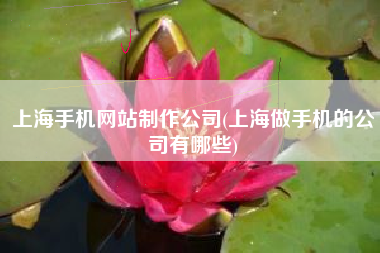 上海手机网站制作公司(上海做手机的公司有哪些)