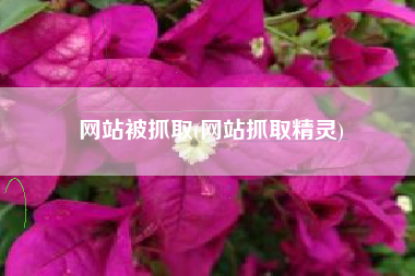 网站被抓取(网站抓取精灵)