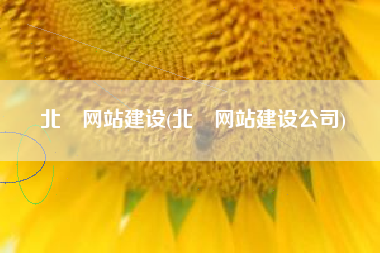 北滘网站建设(北滘网站建设公司)