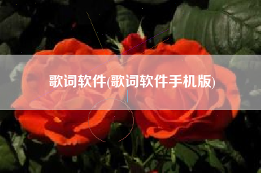 歌词软件(歌词软件手机版)