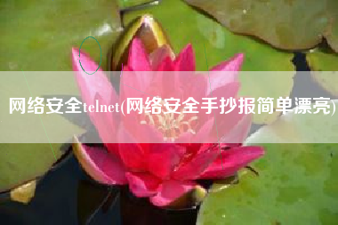 网络安全telnet(网络安全手抄报简单漂亮)