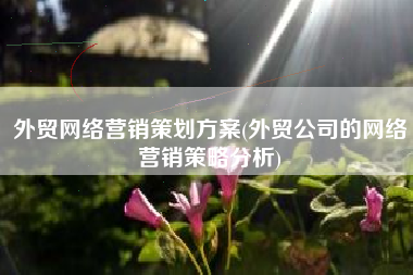 外贸网络营销策划方案(外贸公司的网络营销策略分析)
