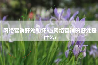 网络营销好处和坏处(网络营销的好处是什么)