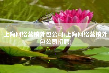 上海网络营销外包公司(上海网络营销外包公司招聘)