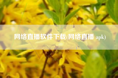 网络直播软件下载(网络直播 apk)