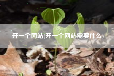 开一个网站(开一个网站需要什么)