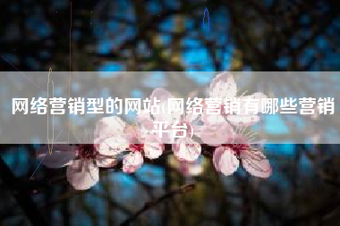 网络营销型的网站(网络营销有哪些营销平台)
