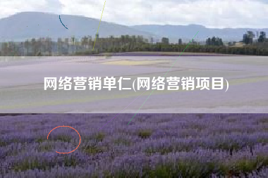 网络营销单仁(网络营销项目)