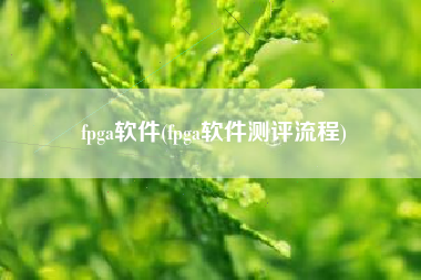 fpga软件(fpga软件测评流程)