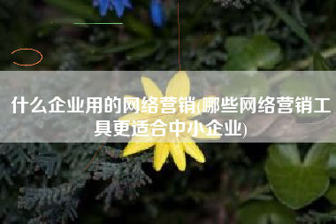 什么企业用的网络营销(哪些网络营销工具更适合中小企业)