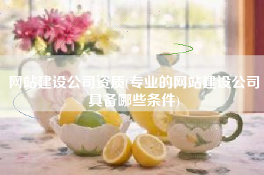 网站建设公司资质(专业的网站建设公司具备哪些条件)