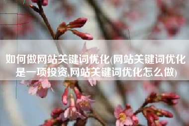 如何做网站关键词优化(网站关键词优化是一项投资,网站关键词优化怎么做)