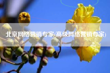 北京网络营销专家(高级网络营销专家)