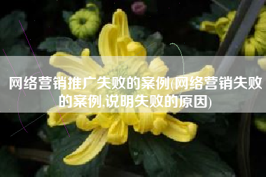 网络营销推广失败的案例(网络营销失败的案例,说明失败的原因)