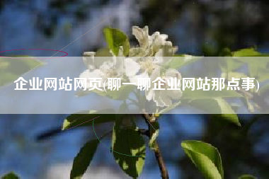 企业网站网页(聊一聊企业网站那点事)