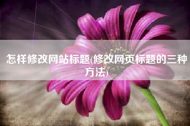 怎样修改网站标题(修改网页标题的三种方法)