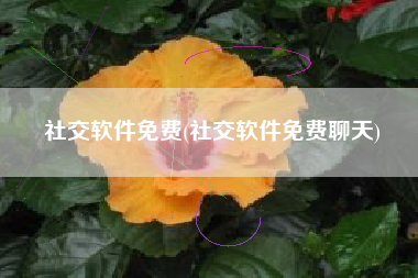 社交软件免费(社交软件免费聊天)