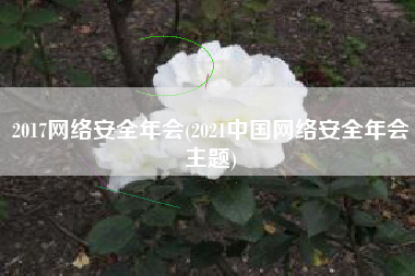 2017网络安全年会(2021中国网络安全年会主题)