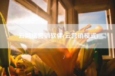 云网络营销软件(云营销模式)