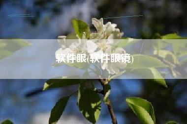 软件眼(软件眼镜)