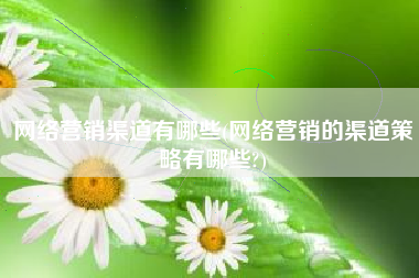 网络营销渠道有哪些(网络营销的渠道策略有哪些?)