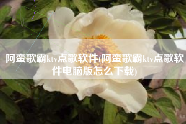 阿蛮歌霸ktv点歌软件(阿蛮歌霸ktv点歌软件电脑版怎么下载)
