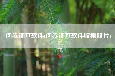问卷调查软件(问卷调查软件收集照片)