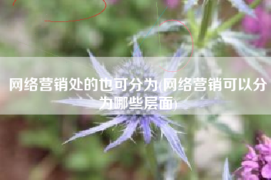 网络营销处的也可分为(网络营销可以分为哪些层面)