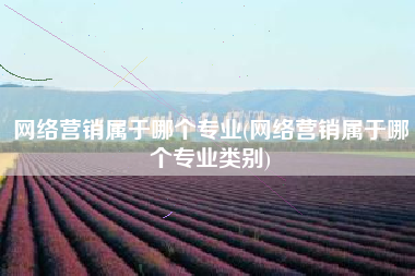网络营销属于哪个专业(网络营销属于哪个专业类别)