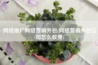 网络推广网络营销外包(网络营销外包公司怎么收费)
