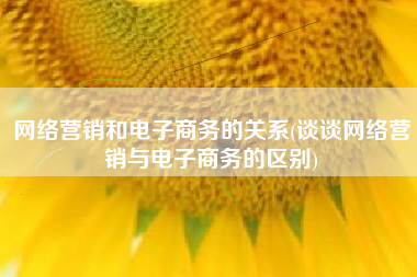 网络营销和电子商务的关系(谈谈网络营销与电子商务的区别)