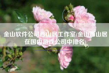 金山软件公司西山居工作室(金山西山居在国内游戏公司中排名)
