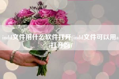 indd文件用什么软件打开(indd文件可以用ai打开吗)