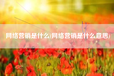 网络营销是什么(网络营销是什么意思)